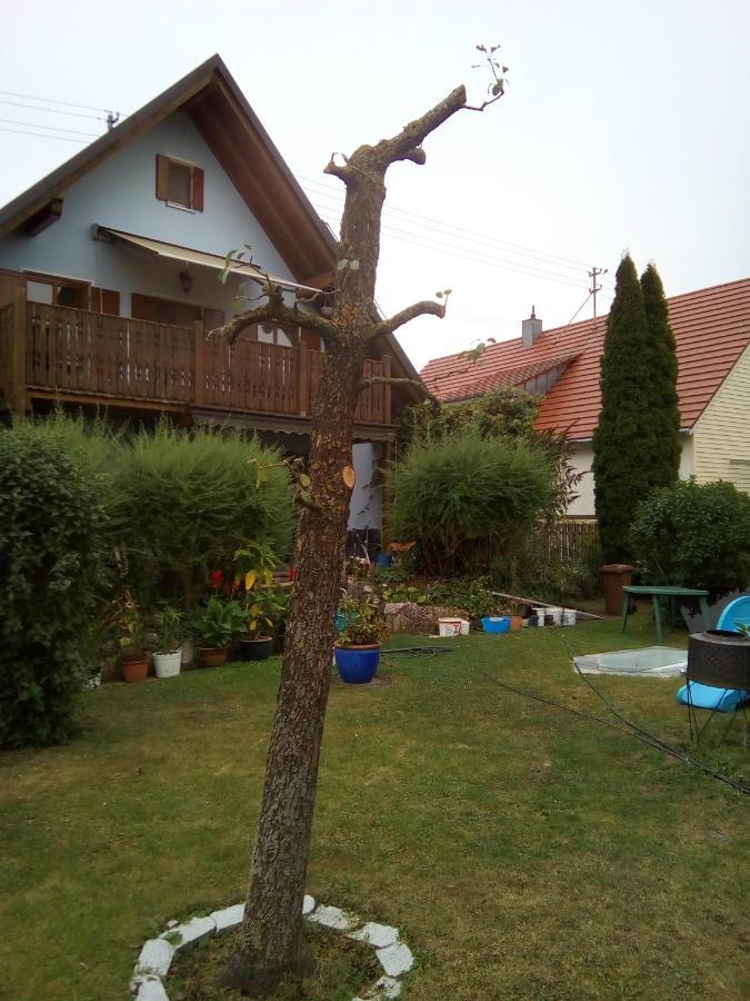 Villa Blue Nördlingen Extérieur photo